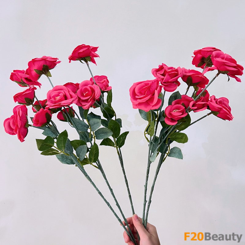 Hoa hồng tỉ muội Miniature màu hồng Magenta