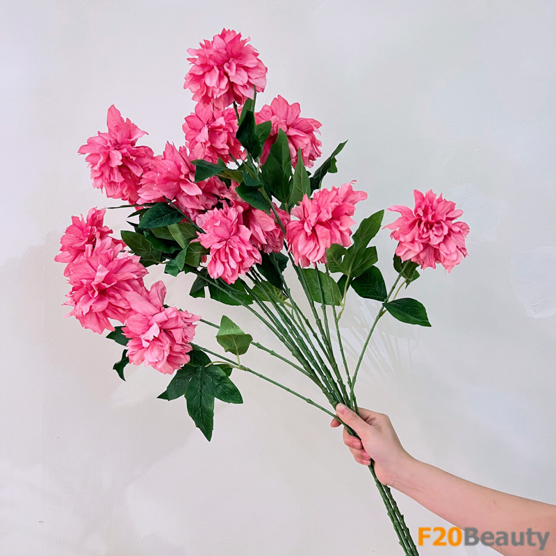 Hoa mẫu đơn hồng đậm: sự tươi tắn của mùa xuân