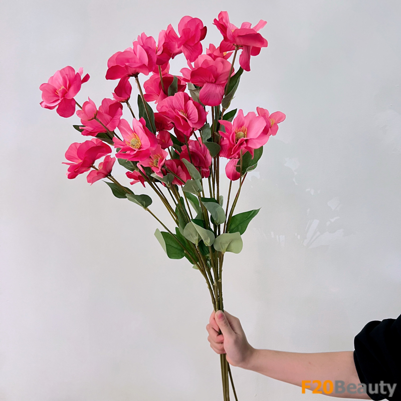 Khám phá vẻ đẹp hiếm có: Hoa nhài chile màu hồng đậm