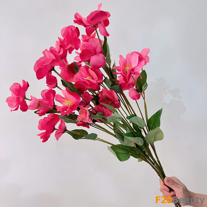 Hoa nhài Chile màu hồng đậm