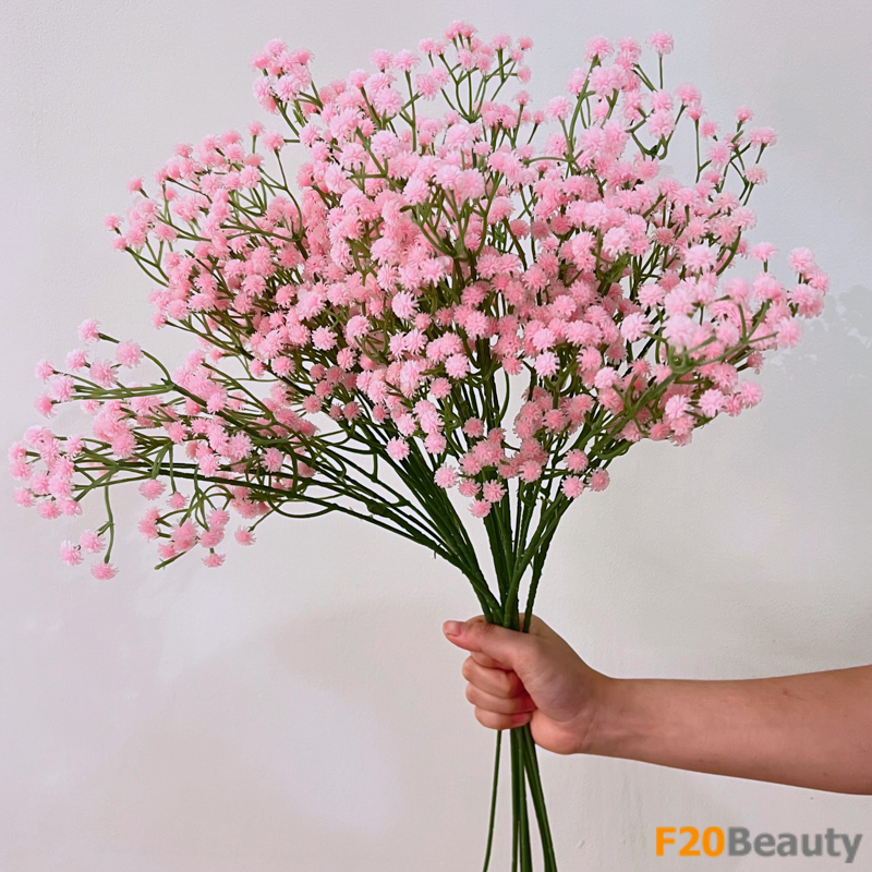 Hoa baby - Biểu tượng của sự nghị lực