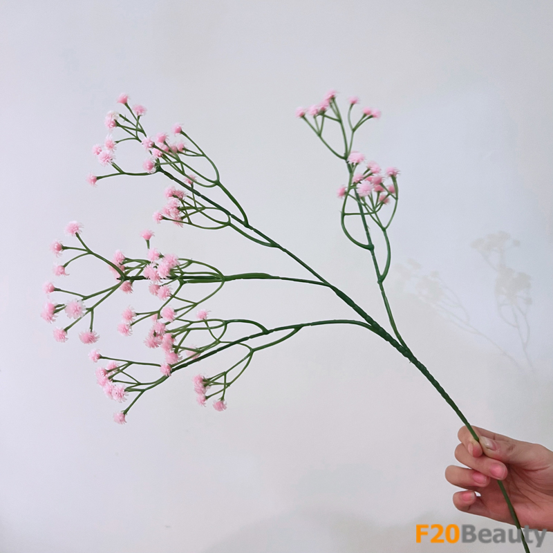 Hoa baby - Vẻ đẹp ngọt ngào tự nhiên