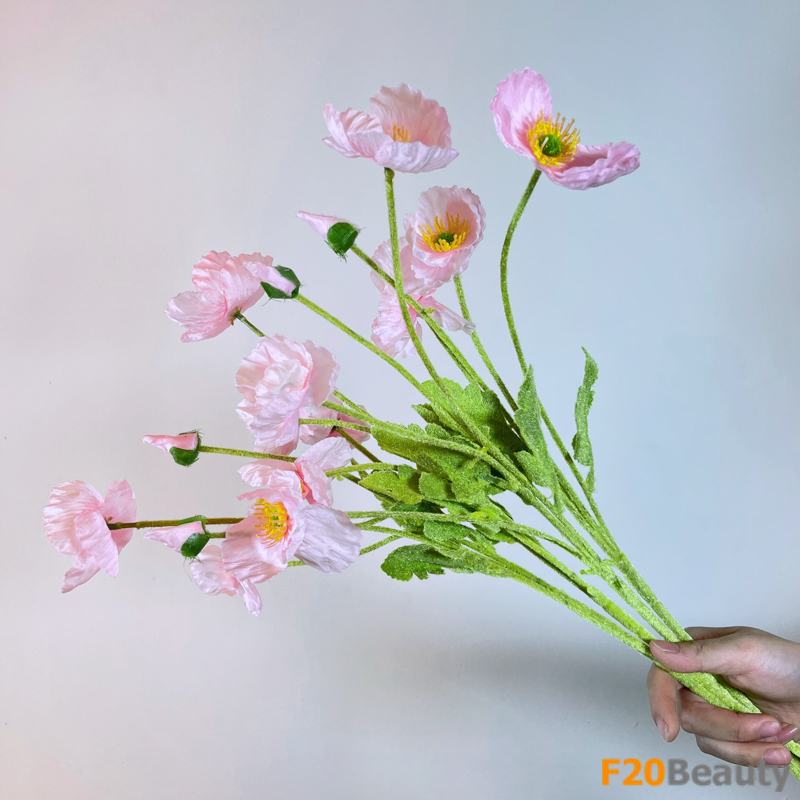 Hoa anh túc hồng nhạt