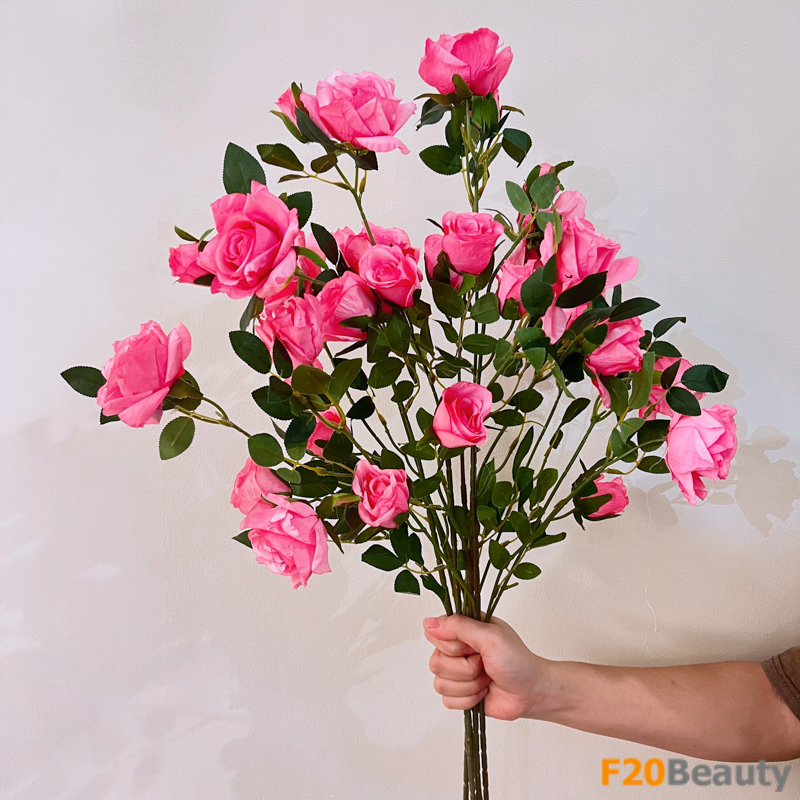 Hoa hồng 6 bông - Vẻ đẹp sắc sảo của thiên nhiên