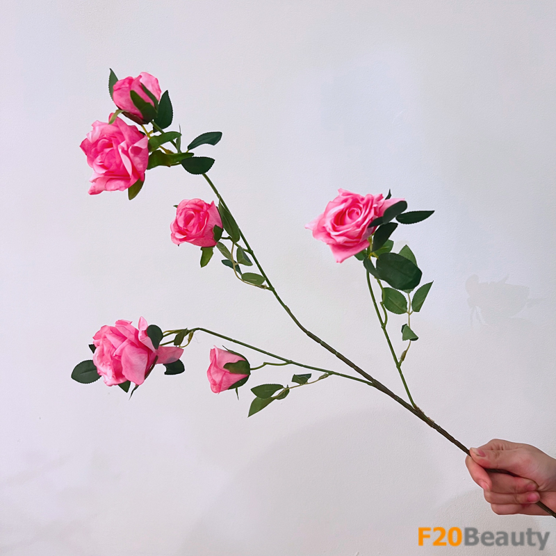 Hoa hồng 6 bông - Nét đẹp tự nhiên mang đến sự tươi mới