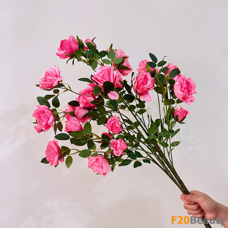 Hoa hồng 6 bông màu hồng đậm