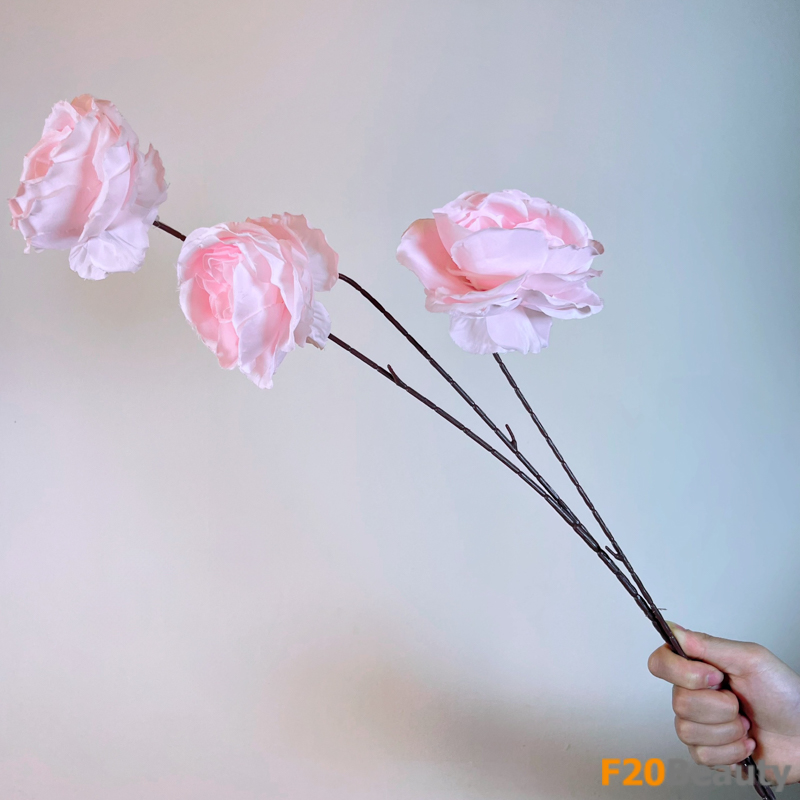 Hoa mao lương Persian - Nét đẹp nghệ thuật độc đáo