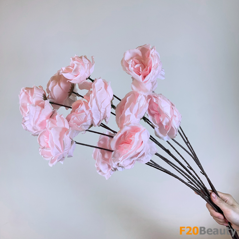 Hoa mao lương Persian hồng nhạt