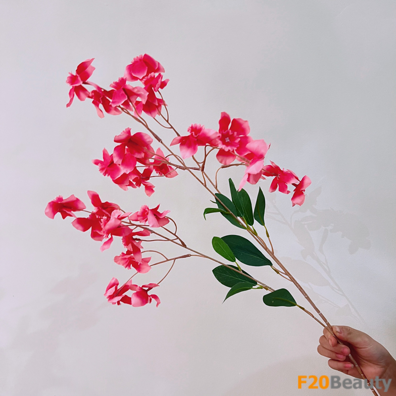 Hoa tử đinh hương - Nét đẹp thơ mộng của thiên nhiên