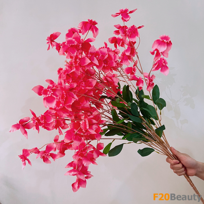 Hoa tử đinh hương màu hồng đậm