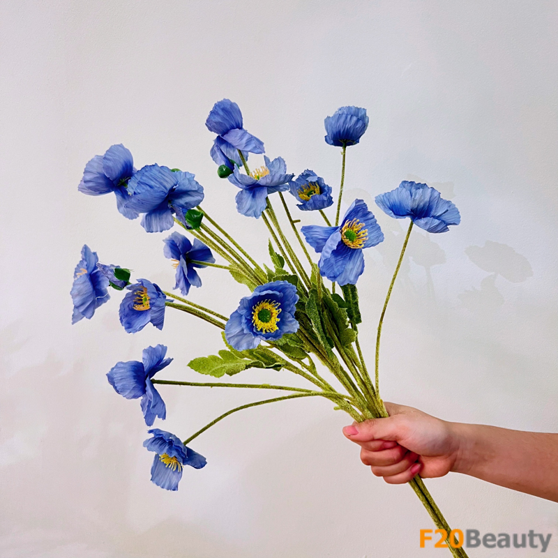 Hoa anh túc - Biểu tượng của sự phục sinh