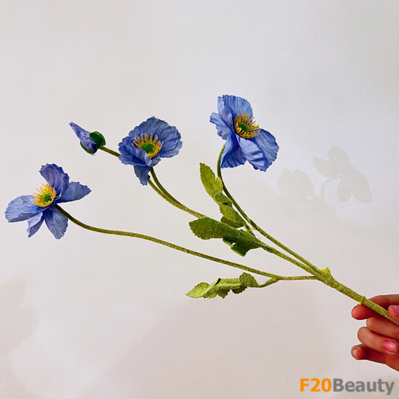 Hoa anh túc - Đại diện cho nét đẹp sang trọng