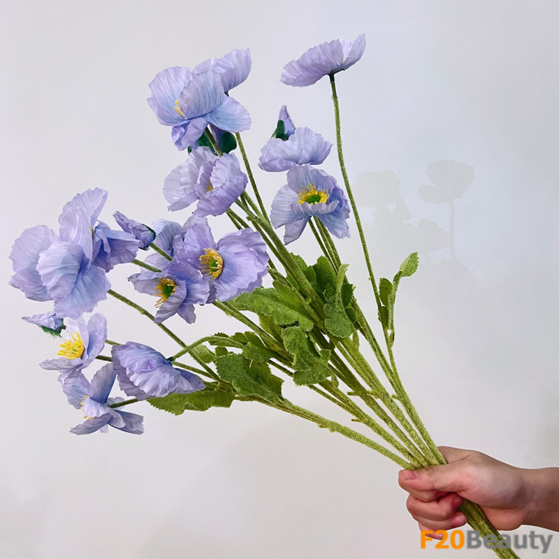 Hoa anh túc xanh tím