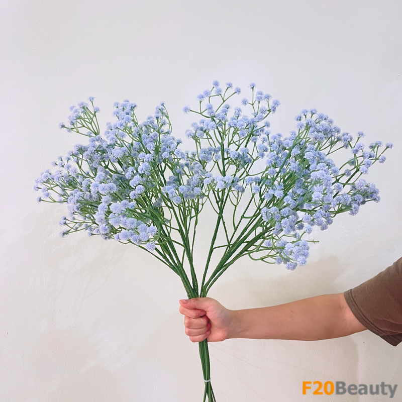 Hoa baby - Nét đẹp của sự bình yên