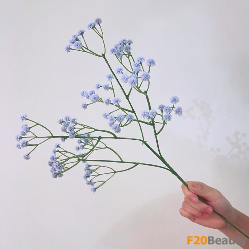 Hoa baby - Nét đẹp của tình yêu vĩnh cửu