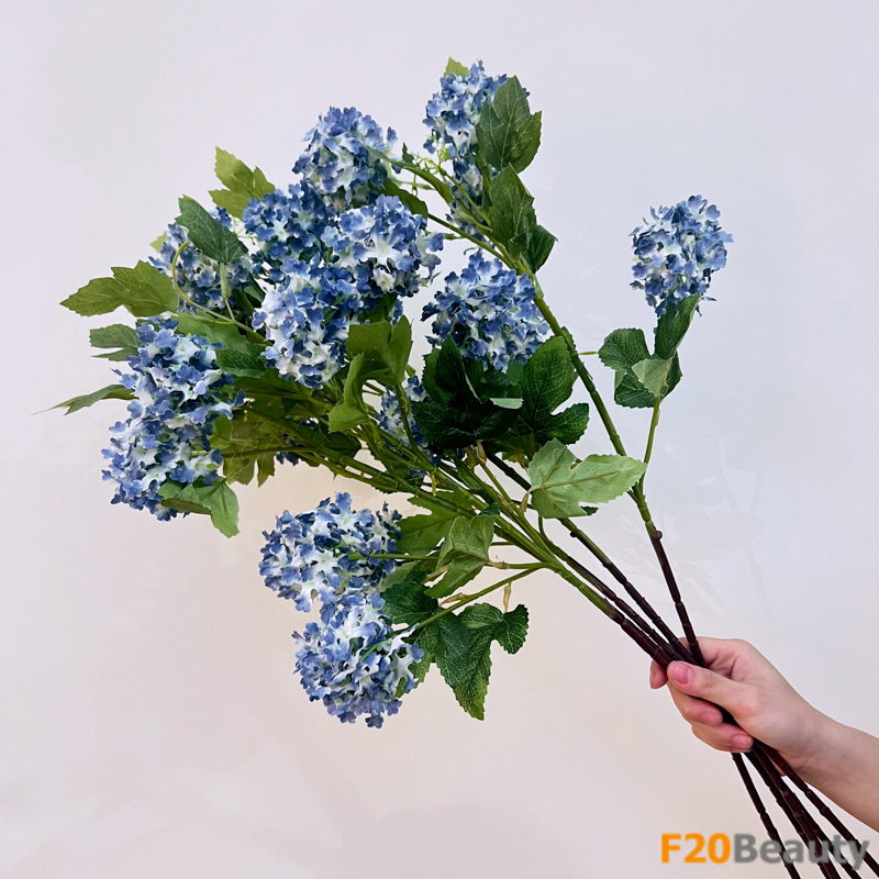 Hoa cẩm tú cầu - Vẻ đẹp ngọt ngào đến ngơ ngẩn