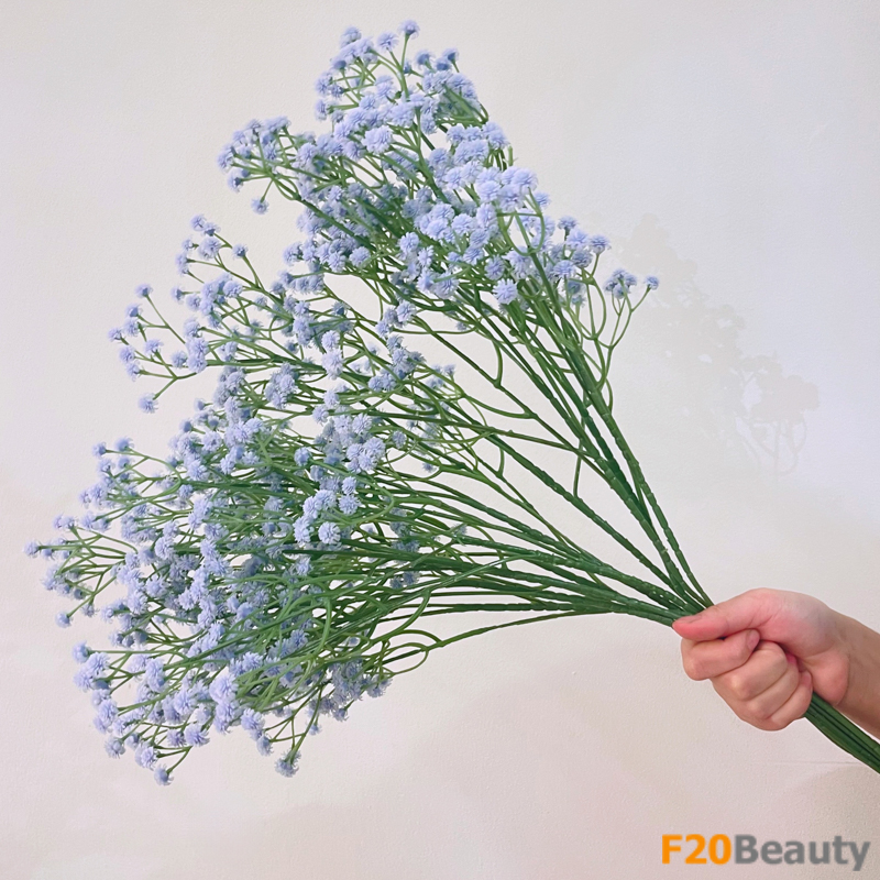 Hoa baby xanh biển