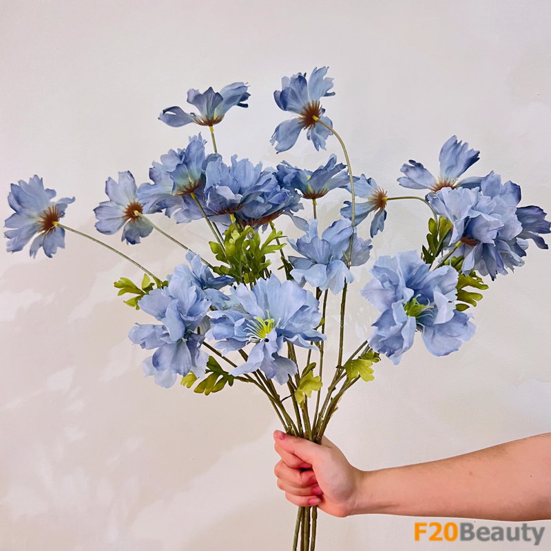 Hoa hải quỳ - Biểu tượng của niềm hy vọng