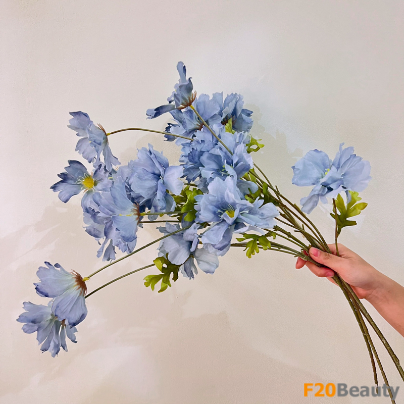 Hoa hải quỳ xanh nhạt