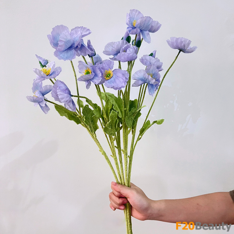 Hoa anh túc - Lời an ủi dịu dàng