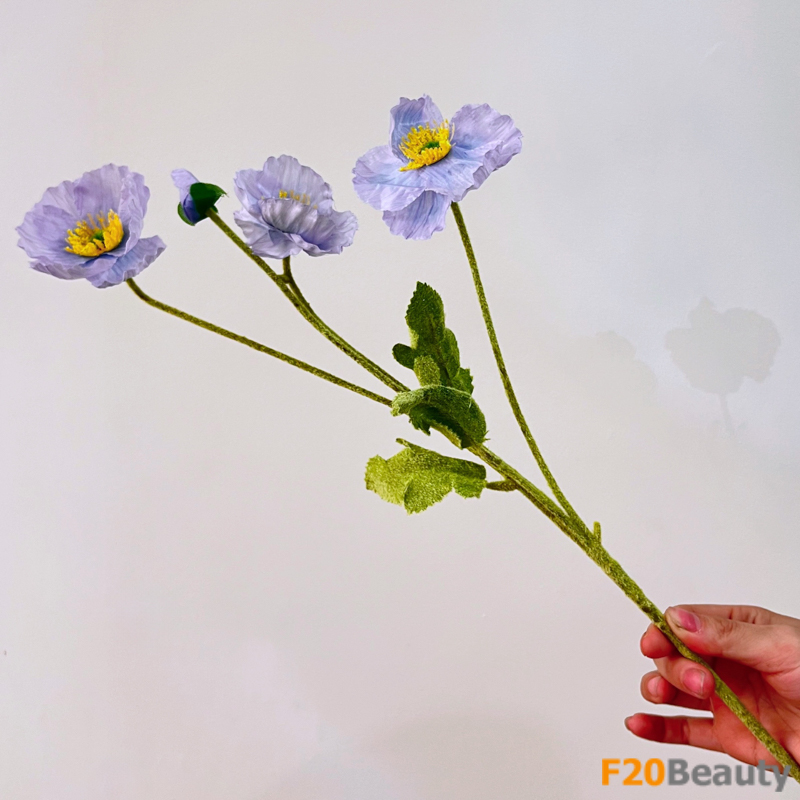 Hoa anh túc - Vẻ đẹp sang trọng quyến rũ