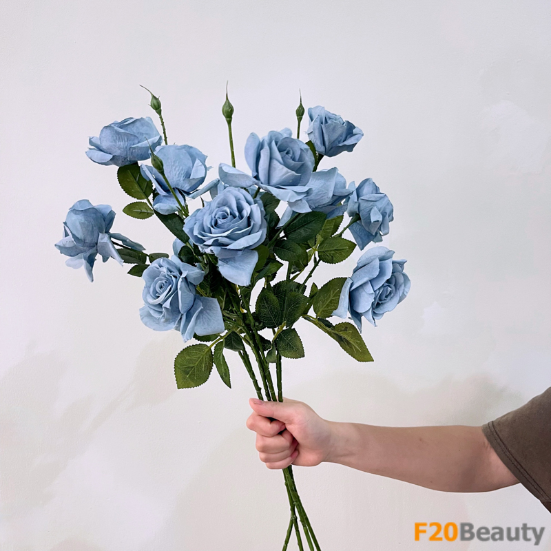 Sự quyến rũ của biển trong từng cánh hoa: Sydney Rose xanh biển