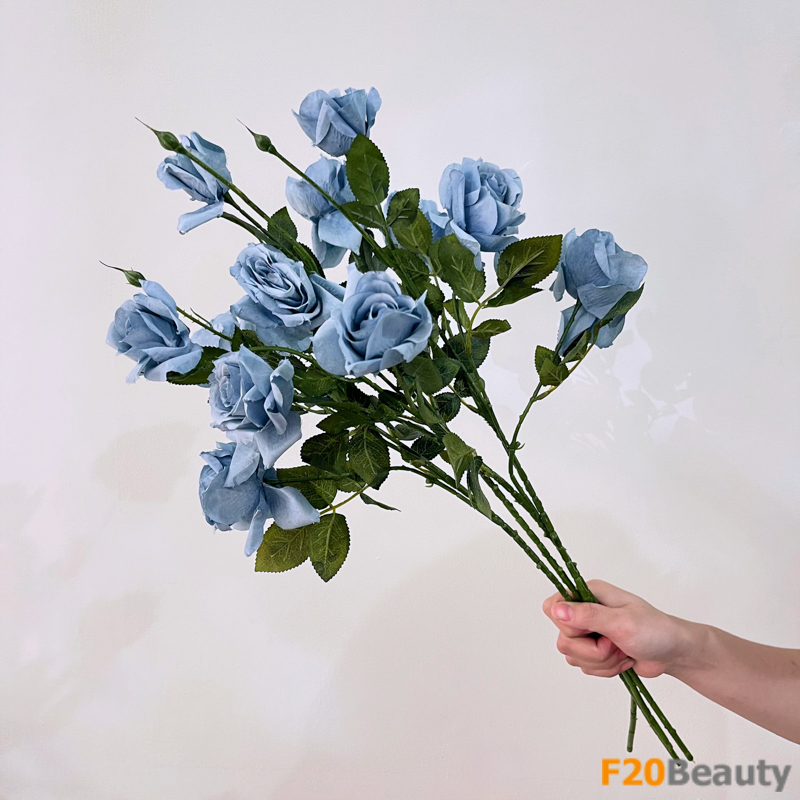 Bức tranh tự nhiên tuyệt đẹp: Hoa hồng Sydney màu biển