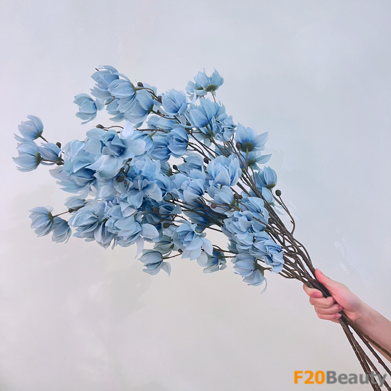 Hoa lồng đèn Jollies Riems xanh da trời