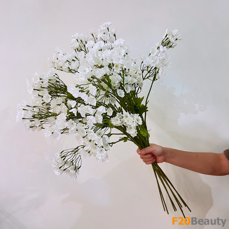 Sự tinh tế của hoa Gypsophila màu trắng: Sự quyến rũ và thanh khiế