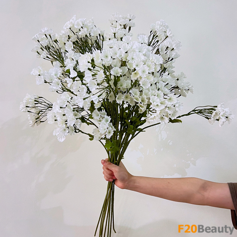 Hòa mình vào vẻ đẹp tự nhiên: Hoa Gypsophila màu trắn