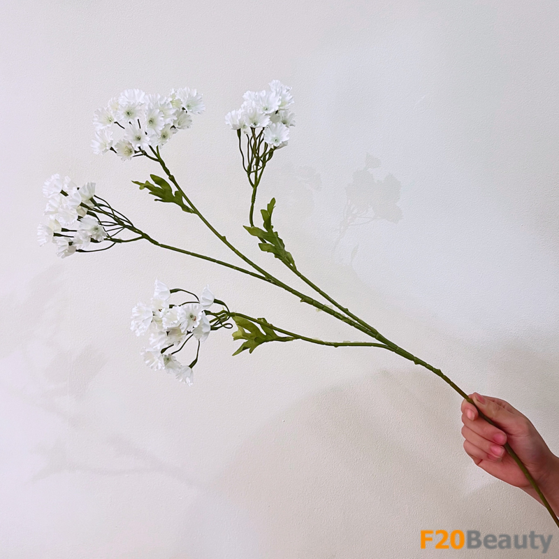 Bông hoa Gypsophila màu trắng: Vẻ đẹp tươi sáng và thanh khiết