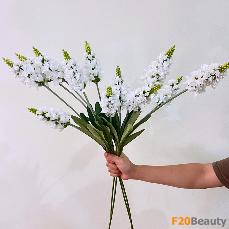 Hoa mõm sói Snapdragons màu trắng - Vẻ đẹp thanh bình của tự nhiên