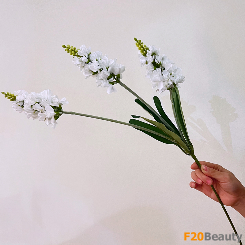 Hoa mõm sói Snapdragons màu trắng - Thay lời chúc may mắn