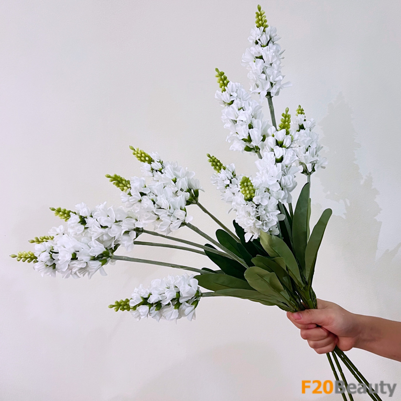 Hoa mõm sói Snapdragons màu trắng - Biểu tượng của sự ngây thơ, tinh khiết