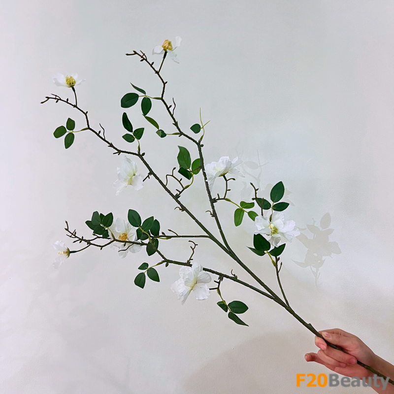 Sự tinh tế của hoa Camellia màu trắng: Sự quyến rũ và thanh khiết