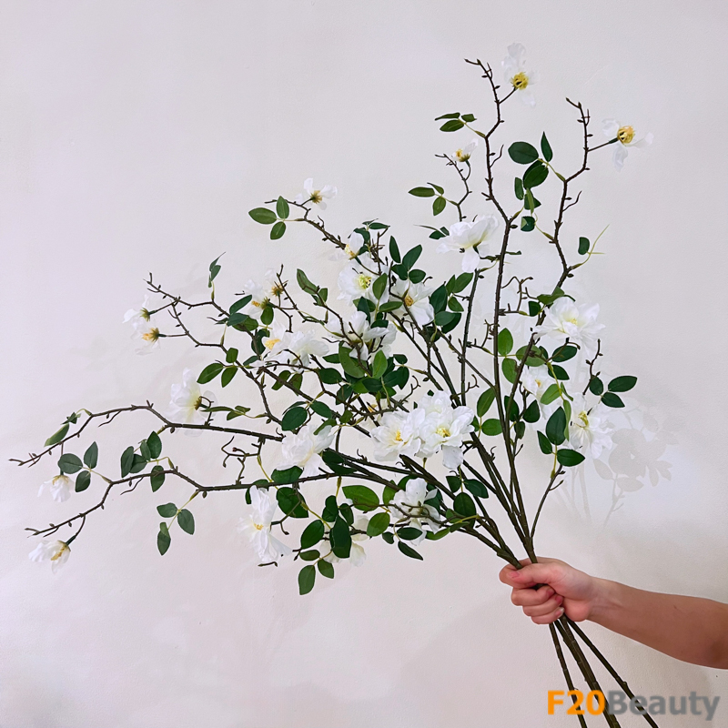 Hoa trà Camellia màu trắng