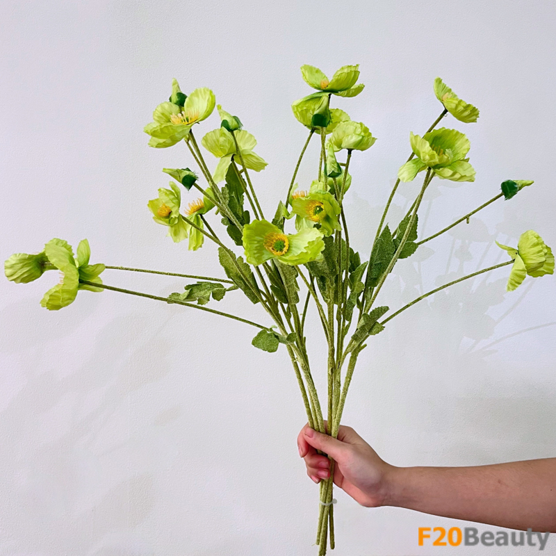 Làm dịu tâm hồn với màu xanh lá của anh túc