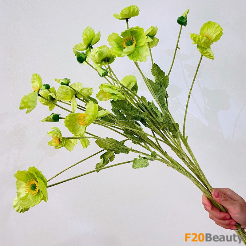 Màu xanh của sự sống: Hoa anh túc làm tươi mới không gian