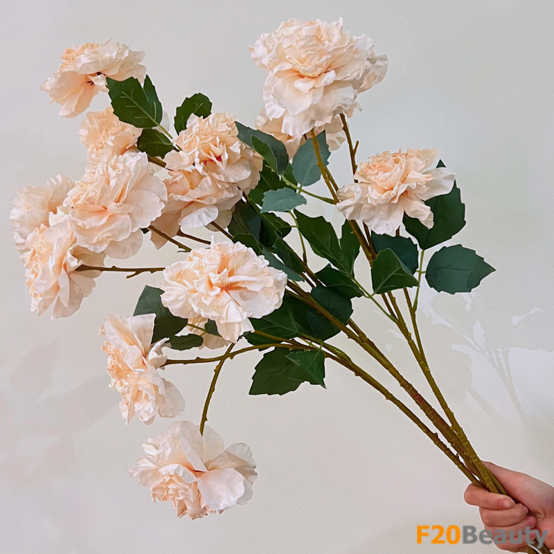 Bức tranh hoa màu be: Sự quyến rũ của bạch thược