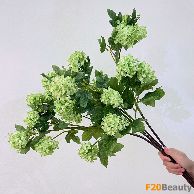 Màu xanh lá cây thanh khiết: Cẩm tú cầu xanh mang lại sự sảng khoái cho mọi khoảnh khắc