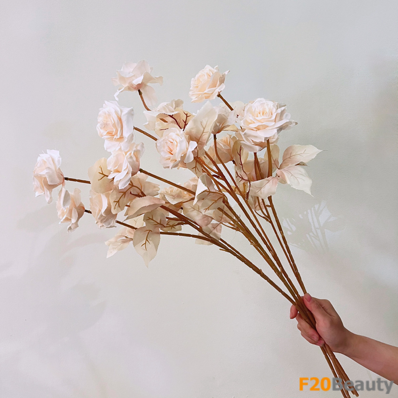 Sự tinh tế của hoa Shropshire Lad màu be: Sự quyến rũ và độc đáo