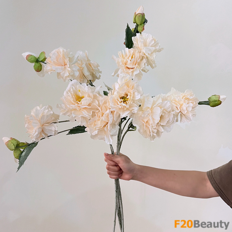 Nét đẹp tự nhiên và tinh tế: Hoa mẫu đơn màu be ấn tượng