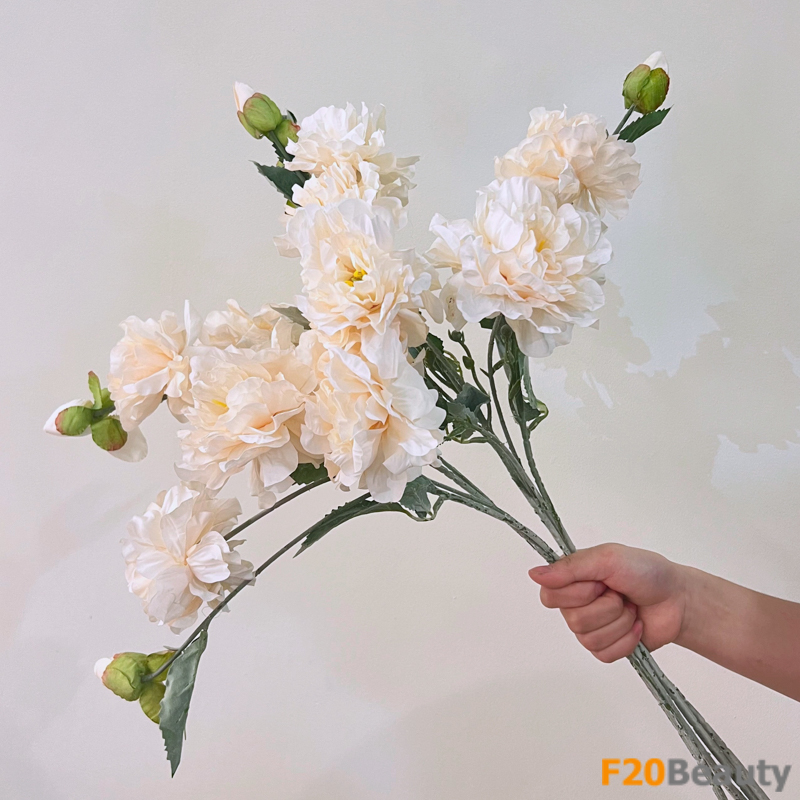 Bông hoa mẫu đơn màu be: Khi sự thanh lịch gặp sự quyến rũ