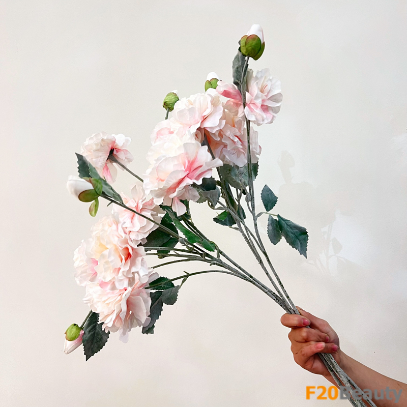 Hoa mẫu đơn 2 bông 1 nụ hồng nhạt