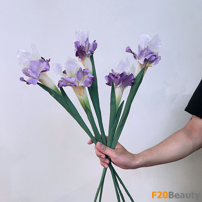 Đẹp ngỡ ngàng với hoa diên vĩ iris tím rực rỡ