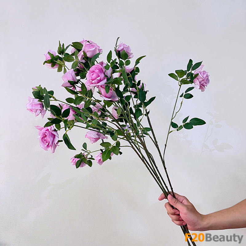 Hoa hồng 6 bông màu tím