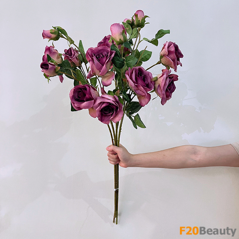 Vẻ đẹp tinh khôi của hoa hồng Bulgaria hồng đậm