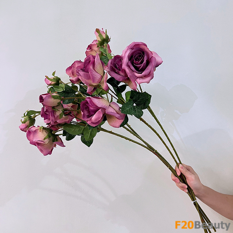 Hoa hồng Bulgaria hồng đậm