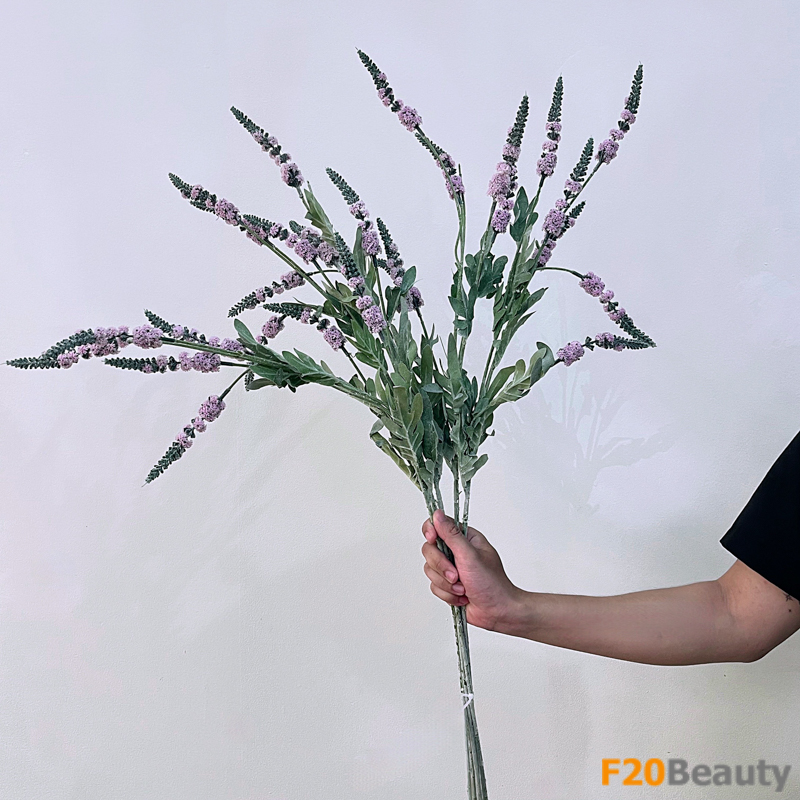 Hoa Lavender hồng nhạt: Sự dịu dàng trong thiên nhiên.