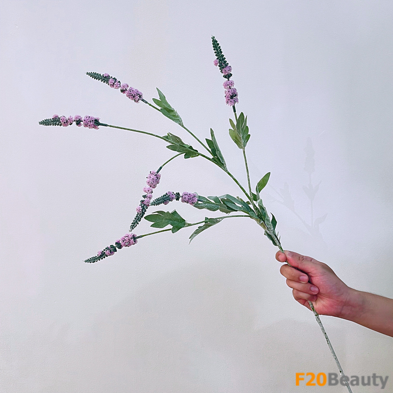 Màu hồng nhạt đẹp ngọt ngào: Lavender và tình yêu tự nhiên